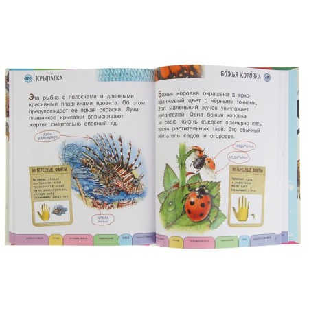 All animals with large letters. Ananieva E. G.-4