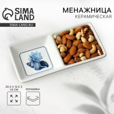 Ceramic 