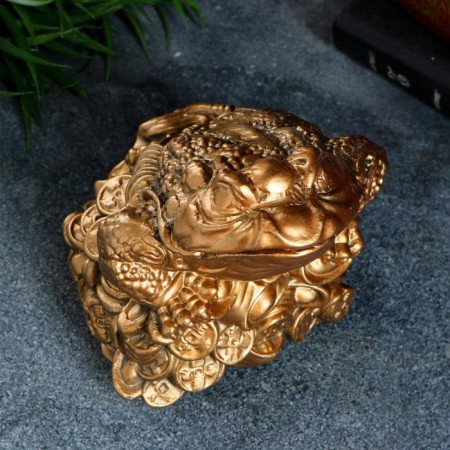 Piggy bank "Frog on coins" 12x14cm-2