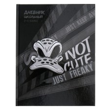 Diary for grades 5-11, 48 sheets 