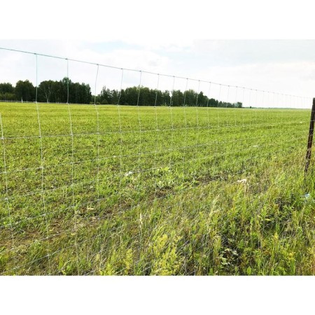 Glorious grid, 1.6 × 10 m, d = 1.8 mm, gray-3