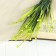 Bouquet "Weed with balls" 27 cm, mix