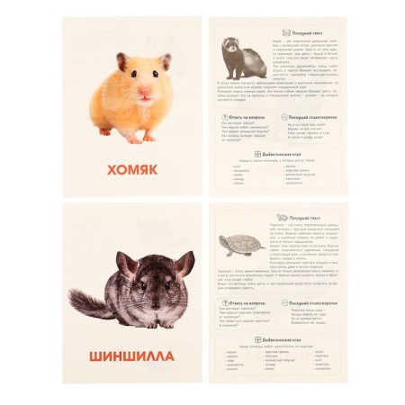 Training cards "Pets"-4