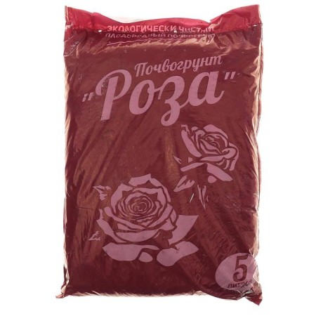 Soil rose, 5 l-2