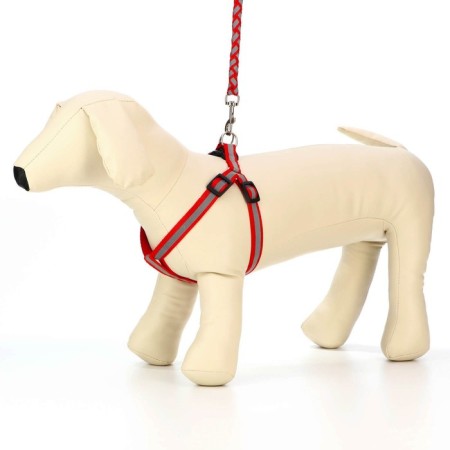 Set "braid", fluorescent, leash 115 x 1 cm, og 32-48 x 1.5 cm, red-2