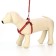 Set "braid", fluorescent, leash 115 x 1 cm, og 32-48 x 1.5 cm, red