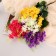 Bouquet "Cheryomukha late" 42 cm, mix