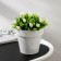 Kashpo for flowers with an insert "Porto", 1 l, white color