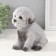 Figure "Puel Poodle" 14.5 x 10 x 14 cm.