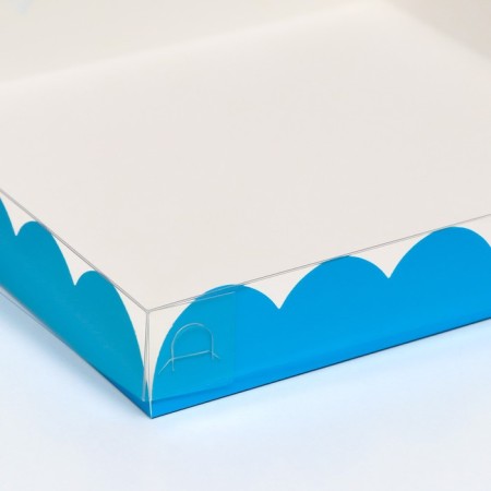 Box for cookies, blue, 21 x 21 x 3 cm-1