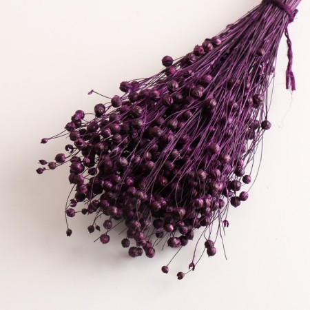 Set of dried flowers "Lenon-long", banch length 55-60 (+/- 6 cm), plum-2