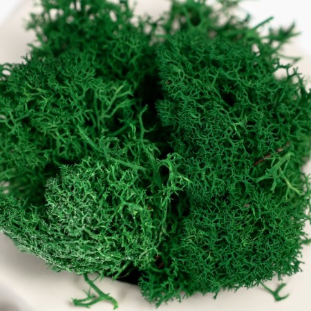 Kashpo concrete "Skull Silence" with moss 6.5x10 cm white (moss green stabilized)-4