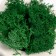 Kashpo concrete "Skull Silence" with moss 6.5x10 cm white (moss green stabilized)