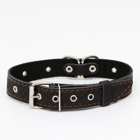 Collar leather reinforced with a kapron with a half-ring, 55 x 3 cm, Osh 30-57 cm, black-1