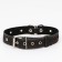 Collar leather reinforced with a kapron with a half-ring, 55 x 3 cm, Osh 30-57 cm, black