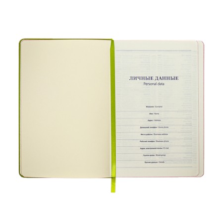 Leduced Diary A5, 140l, Cage, leatherette, elastic band, red cut, green-6