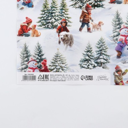 Glossy packaging paper "Funny New Year", 60 x 90 cm, New Year-4