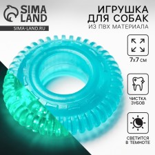 A toy for dogs chewing shine in the dark 