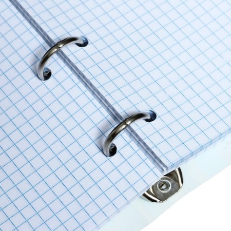 Notebook on rings A5 120 sheets in the Calligrata EXTOTIA cell, plastic cover, offset unit-6