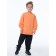 Sweatshirt for boys, height 86 cm, orange color