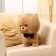 Soft toy "Dog in a butterfly", 40 cm, brown color