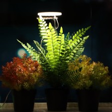 LED phytosvetnel, 2 watts, 5 c, in a pot, USB, full spectral, 1 circle
