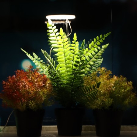 LED phytosvetnel, 2 watts, 5 c, in a pot, USB, full spectral, 1 circle