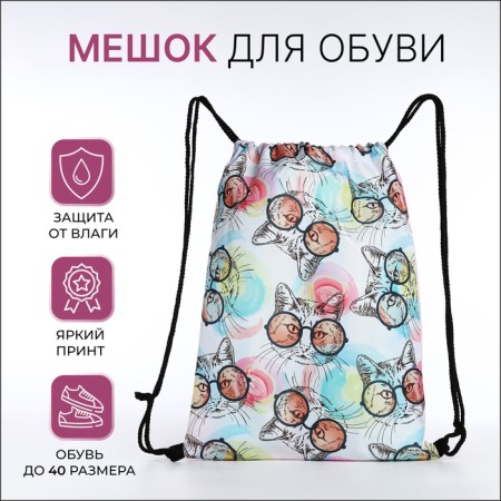 Bag for shoes on the lace, white color