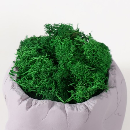 Kashpo concrete "skull" height 10 cm gray with moss (moss green stabilized)-4