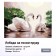 Picture on numbers on a canvas with a subframe "Swans on a quiet pond", 40 x 30 cm