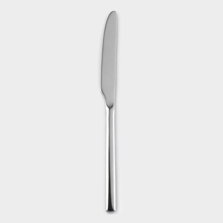 A stainless steel knife “Hokkaido”, length 23 cm, silver color-1