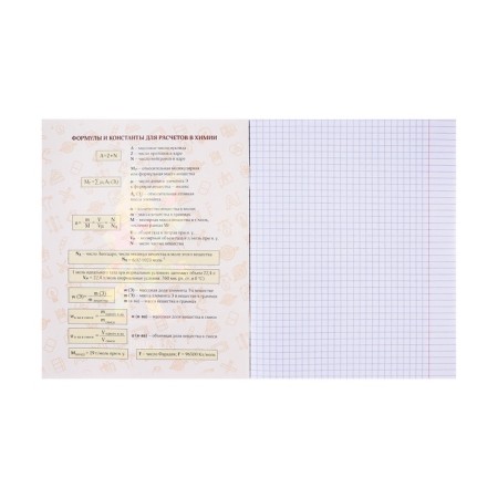 Notebook object neon animals Calligrata Top 48l Cl Chemistry, regional charts, neon print, offset-1