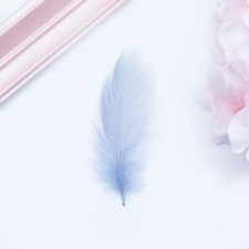Filler of feathers for balls and gifts, silver with glitter, 10-12cm 8 g