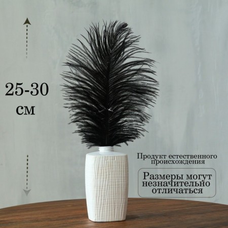 Feather for decor, size: 25-30 cm, black color-1