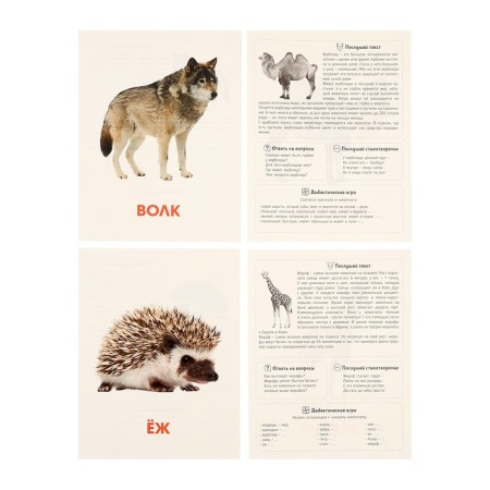 Training cards "Wild animals"-7