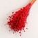 A set of dried flowers "Lenon-debunge", banch length 55-60 (+/- 6 cm), red