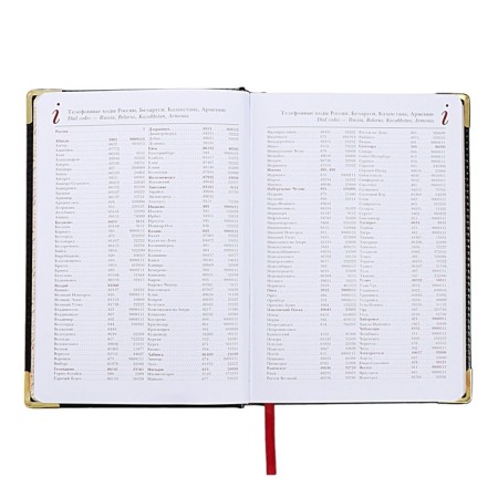 Diary of a low -up A5+, 136 sheets of Sidney Nebraska, solid cover, artificial leather, gold cut, golden corners, black-7