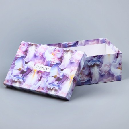 Rectangular gift box, packaging, Pressent, 26 x 17 x 10 cm-3