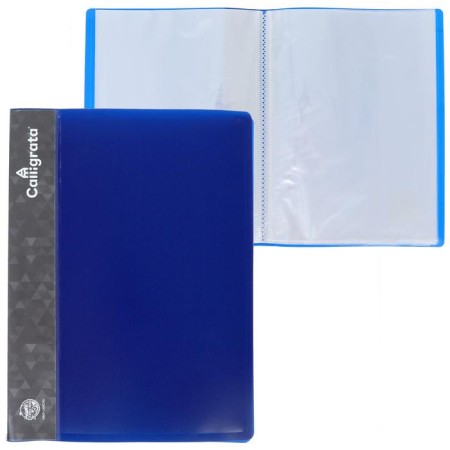 Folder with 30 A4, 500 microns, Calligrata, pocket on the spine, blueberry