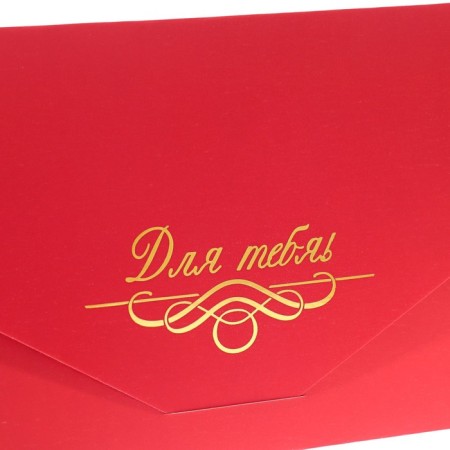 Envenue for money "for you!" Soft Tach, embossing, red color, 9x19 cm-4