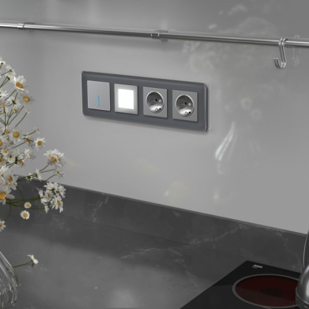 Frame W0042440, 4 Elite sockets, graphite, glass-2