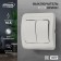 Luazon Lighting "Orion" switch, 10 A, 2 keys, hidden, silver