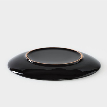 Ceramic plate "VEAL", D = 22 cm, h = 3 cm-2