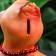 The piggy bank "Crow - Miracle in feathers" yellow, 20cm
