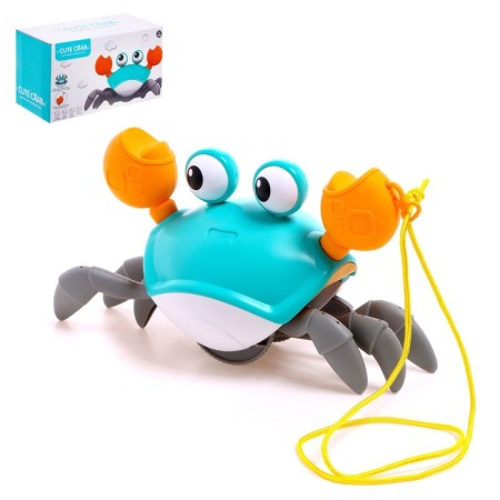 Ranger on the rope "crab", waterfowl, turquoise color