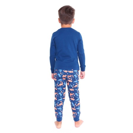 Pajamas for a boy (longshille/pants), blue color/dragon, height 122 cm-4