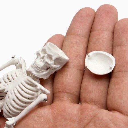 Model "Human Skeleton" 22cm-6