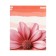A notebook of 96 sheets in a cage, calligrata "Apricot Crush", cover coated cardboard, twin-lak, offset block, mix