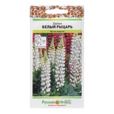 Flowers of Lupine 