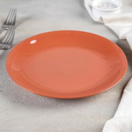 A plate for the second "Glinka", D = 21 cm